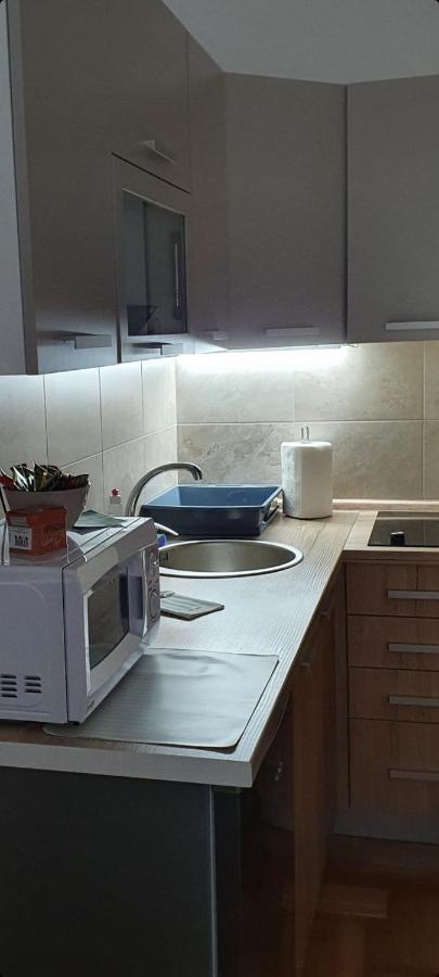 Apartman Tim Lux 1 Vrnjačka Banja Exteriör bild