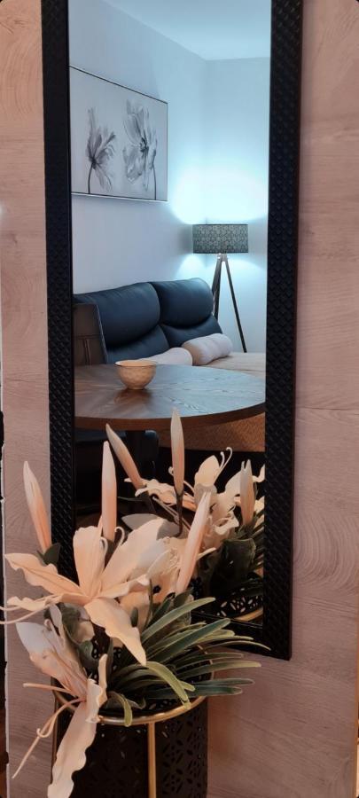 Apartman Tim Lux 1 Vrnjačka Banja Exteriör bild